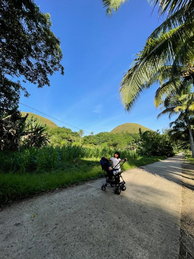 Bed and Breakfast Casa Aguelo Chocolate Hills Carmen  Esterno foto