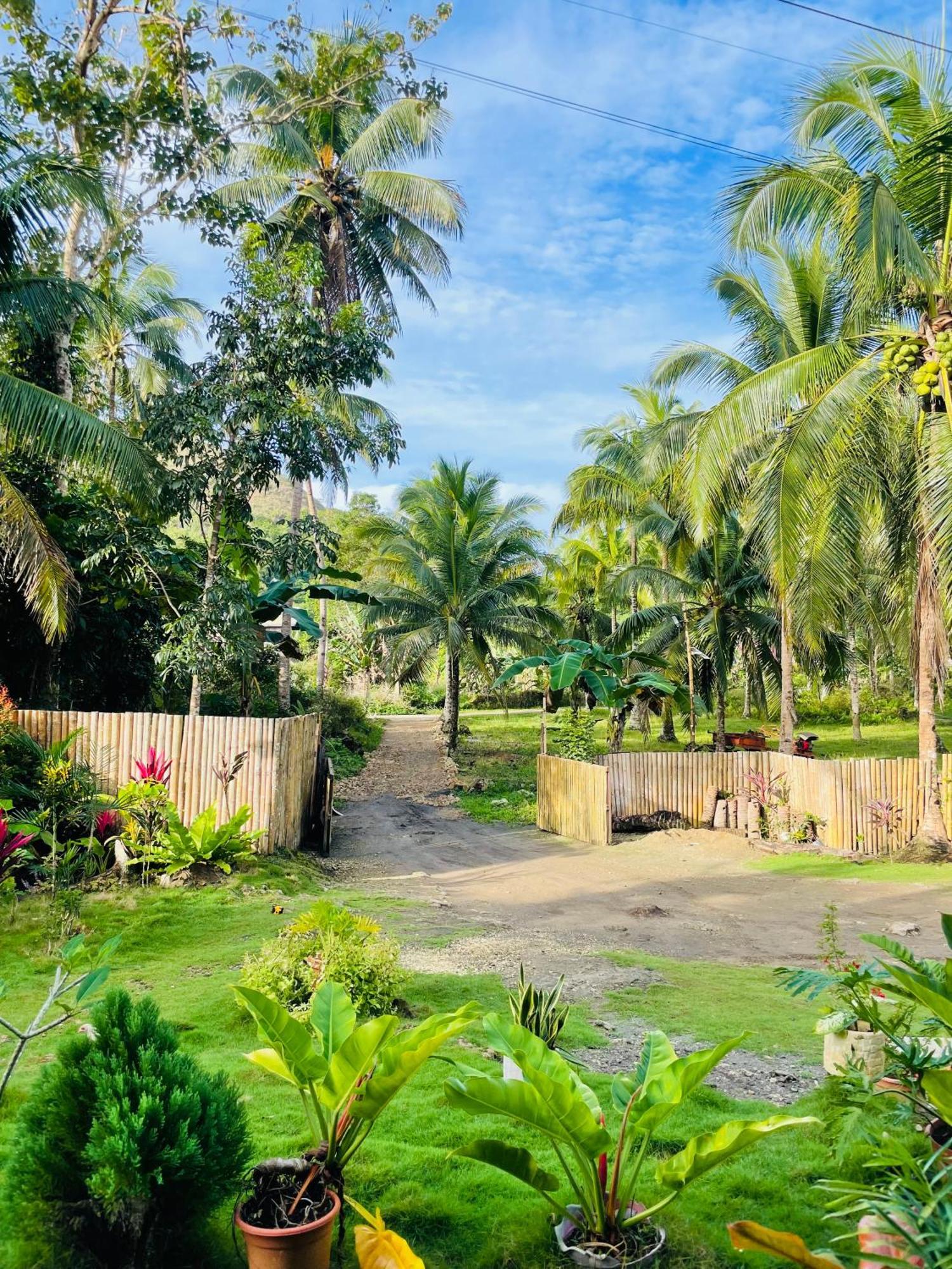 Bed and Breakfast Casa Aguelo Chocolate Hills Carmen  Esterno foto