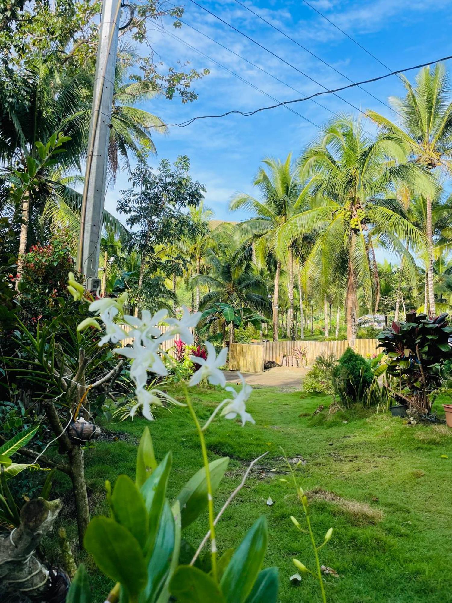 Bed and Breakfast Casa Aguelo Chocolate Hills Carmen  Esterno foto