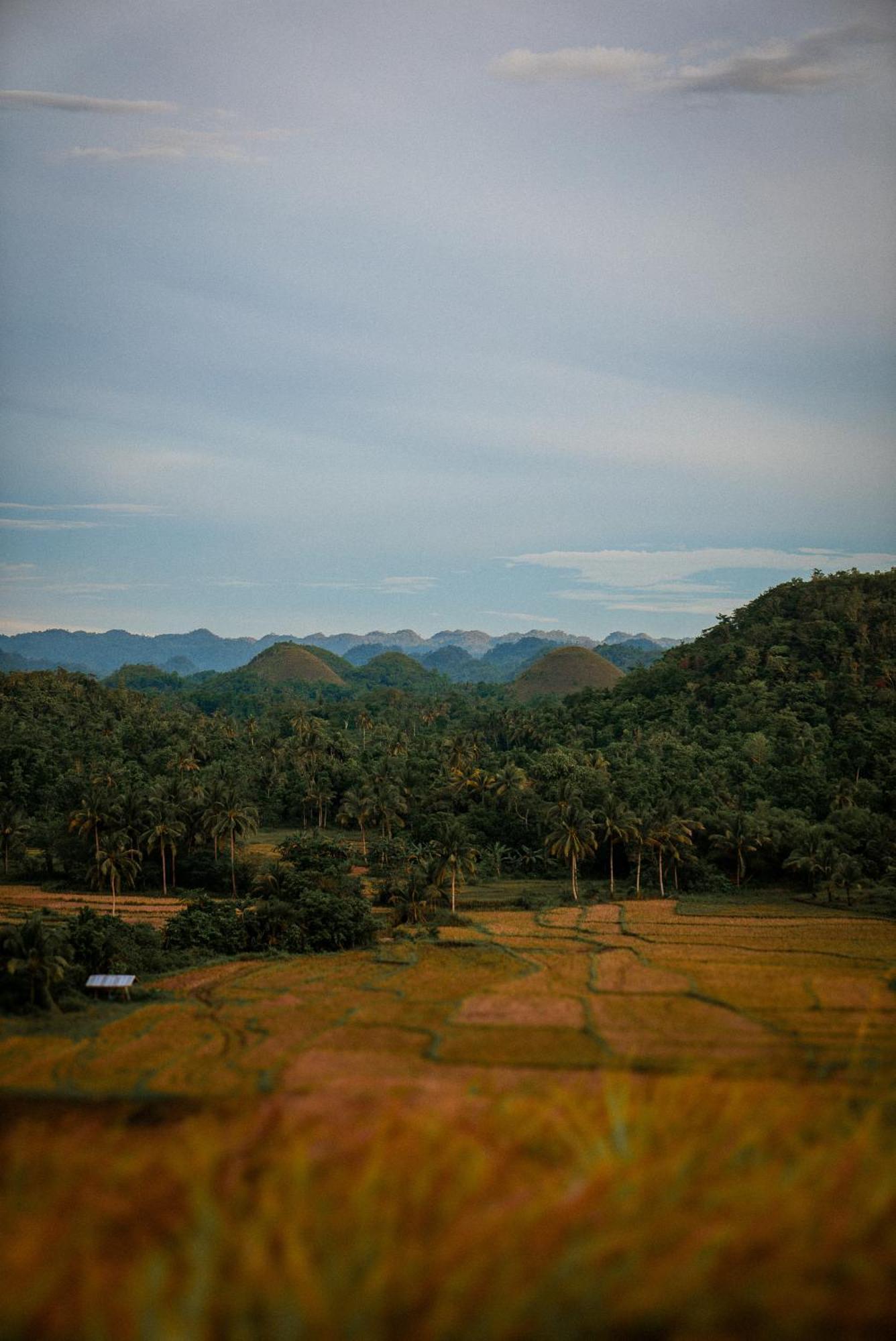 Bed and Breakfast Casa Aguelo Chocolate Hills Carmen  Esterno foto